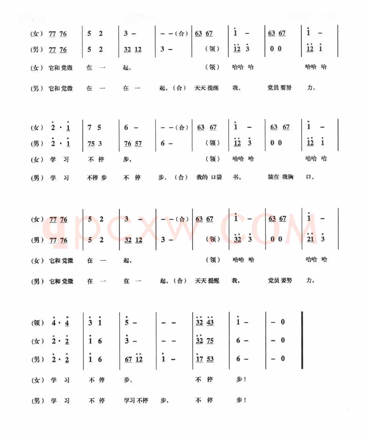 口袋书