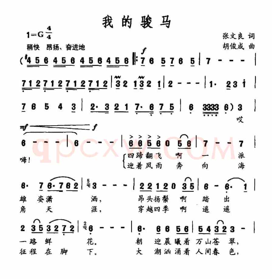 我的骏马