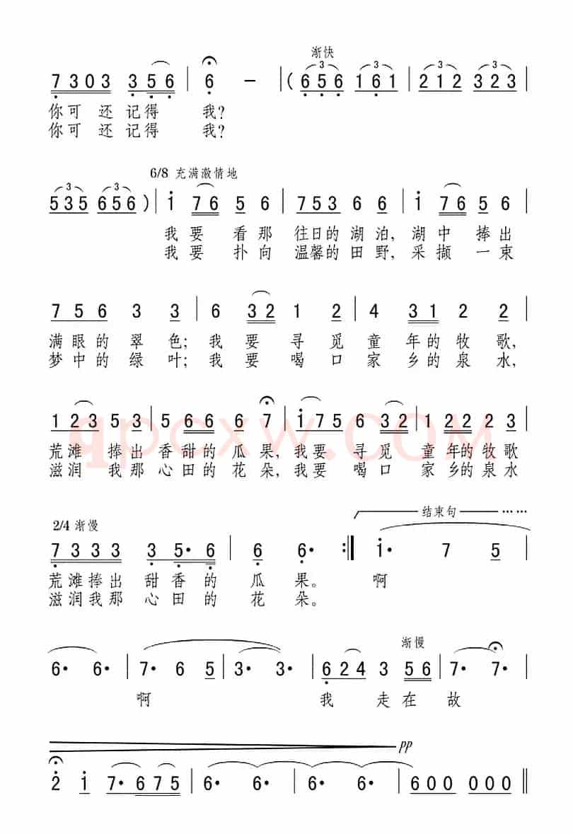 我走在故乡的小路上