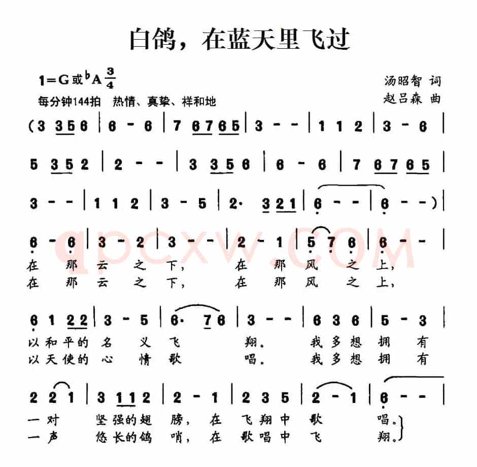 白鸽，在蓝天里飞过