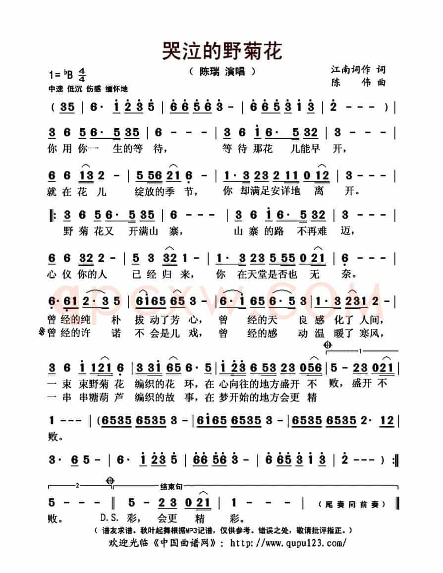 哭泣的野菊花