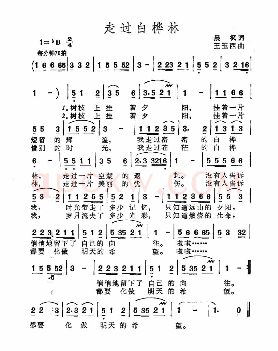 走过白桦林