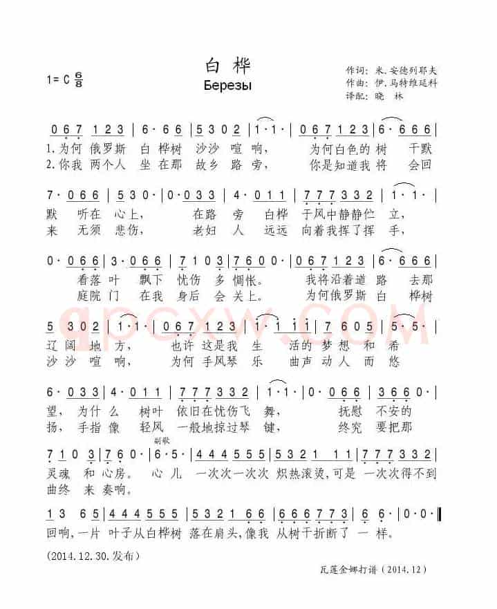 白桦