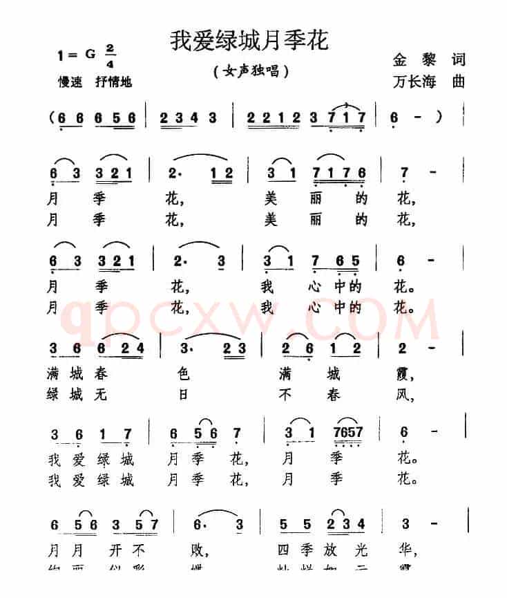我爱绿城月季花 