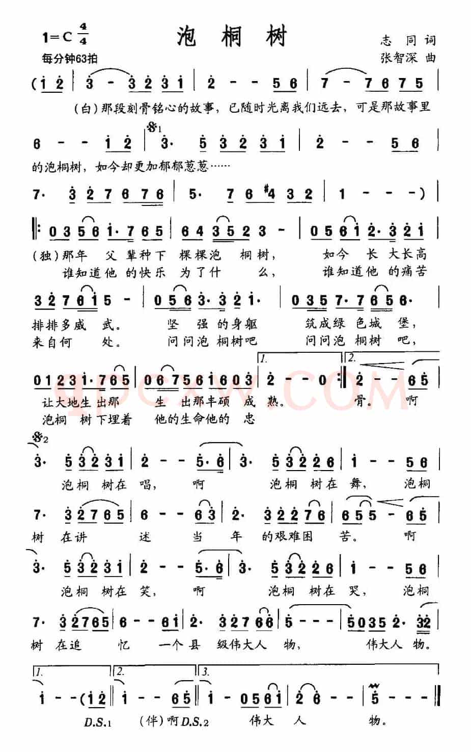 泡桐树