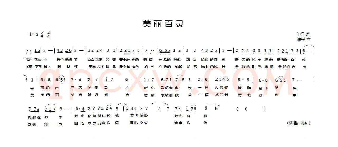美丽百灵