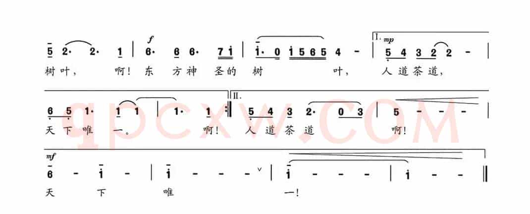 六堡茶，东方神奇的树叶