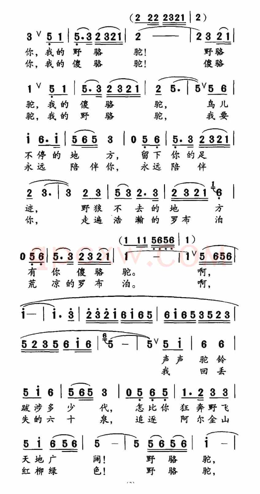 野骆驼 傻骆驼（高枫词 胡绍正曲）