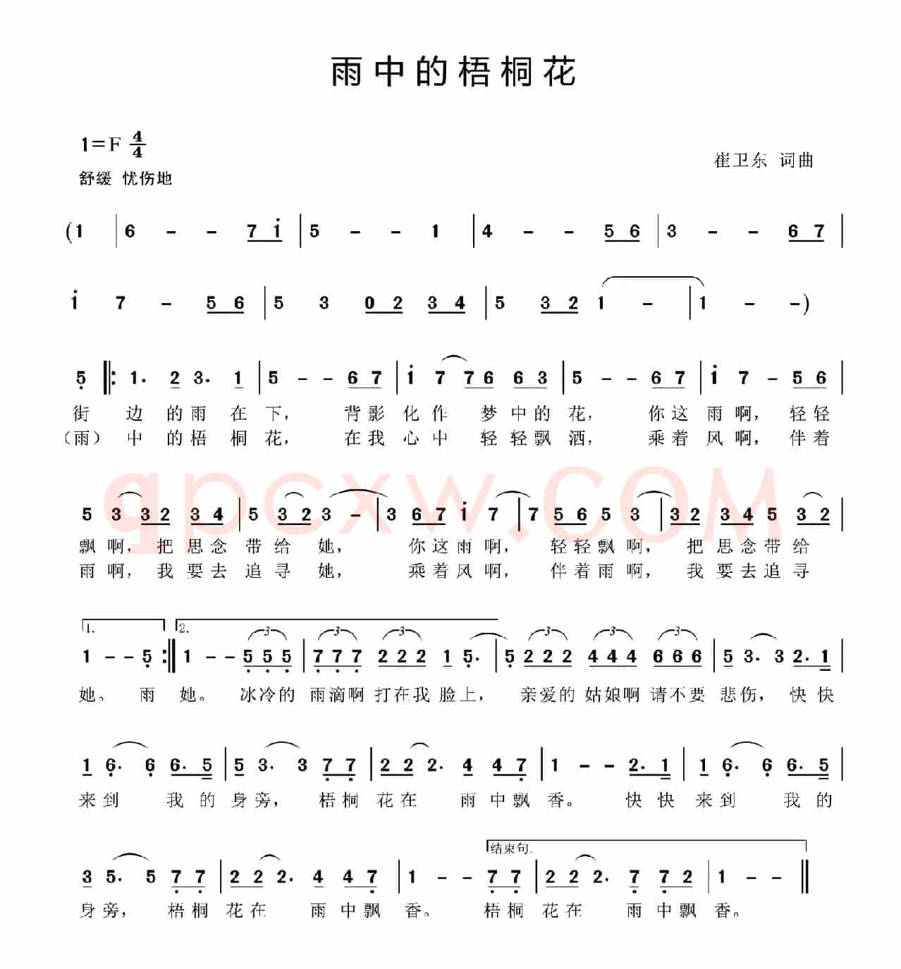 雨中的梧桐花