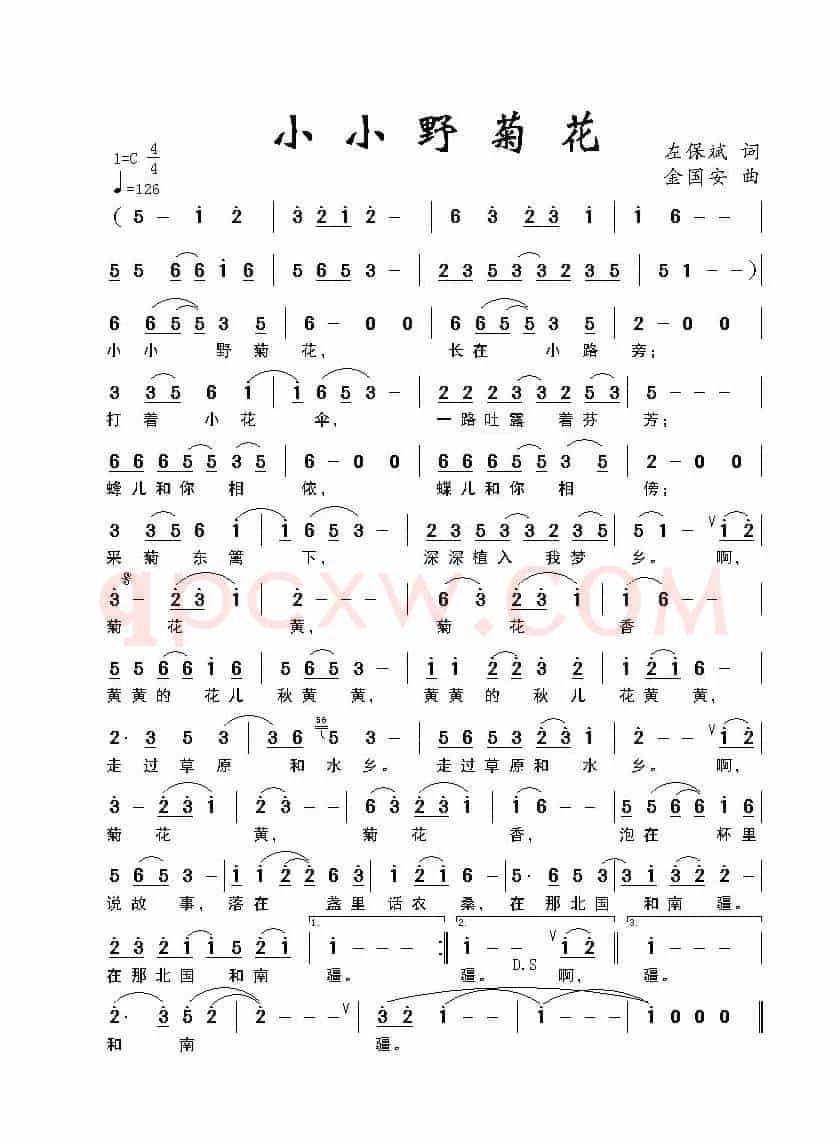 小小野菊花（左保斌词 金国安曲）
