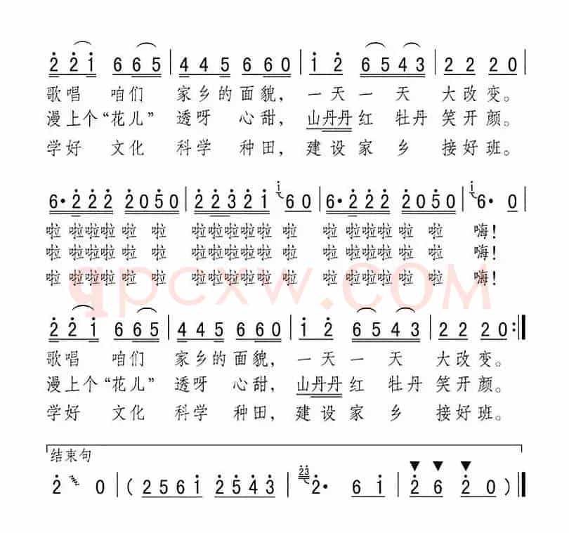山丹丹，红牡丹