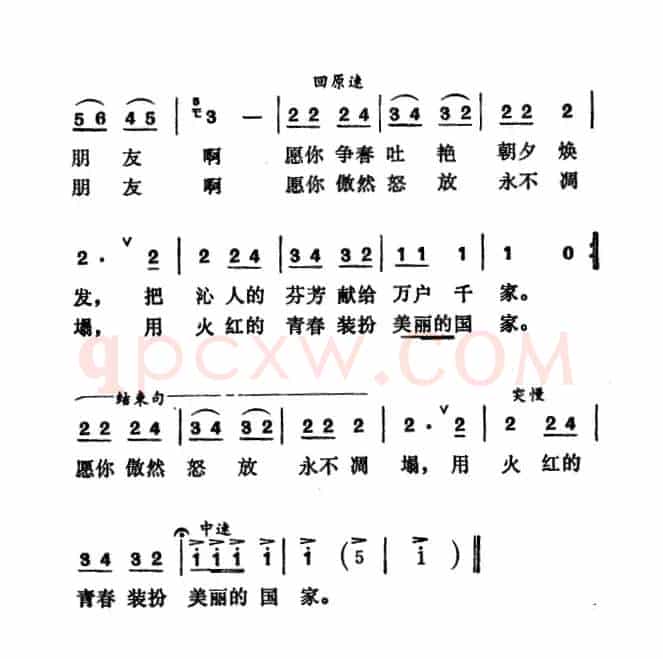 珍惜灿烂的好年华