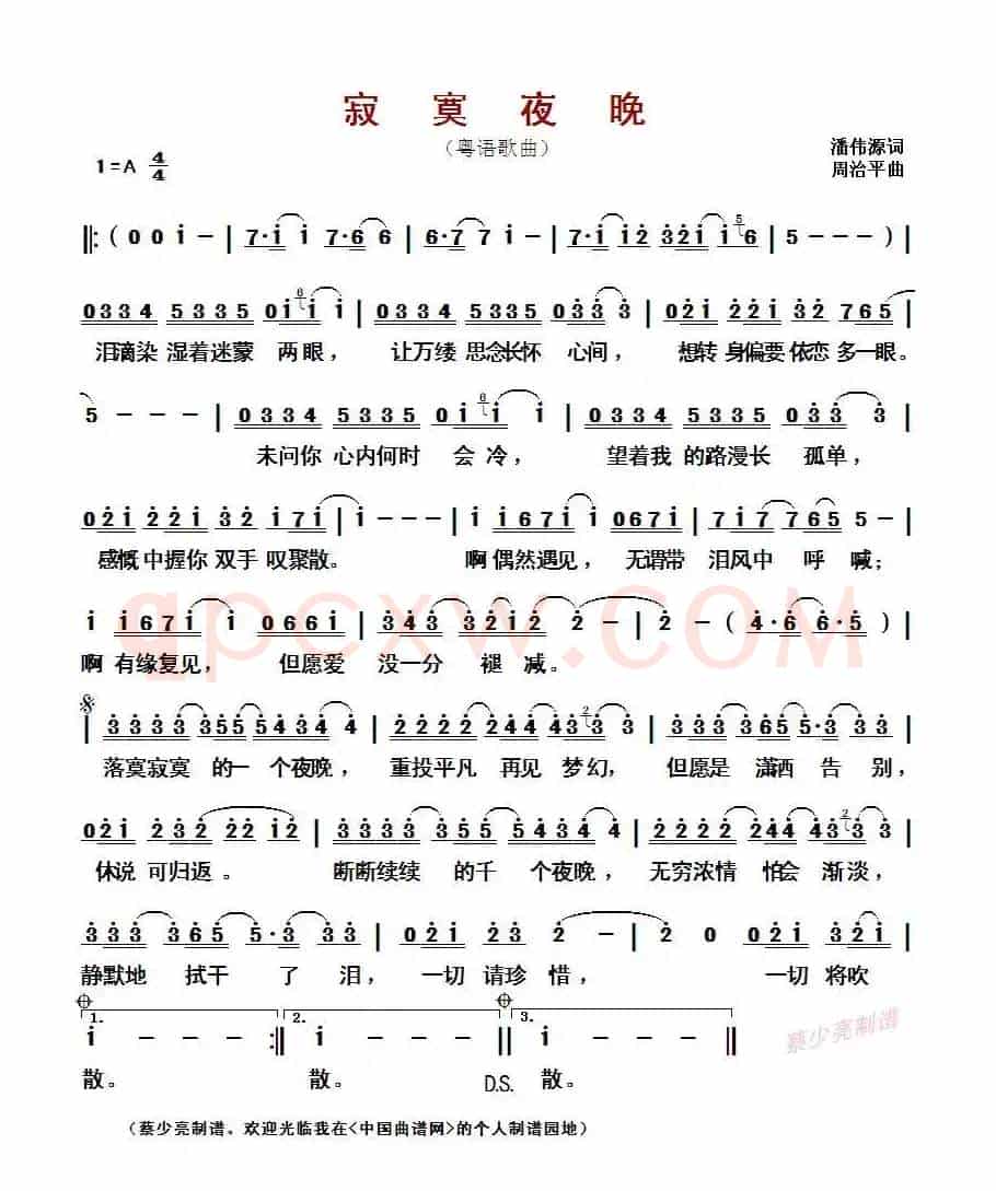 寂寞夜晚(粤语歌曲)