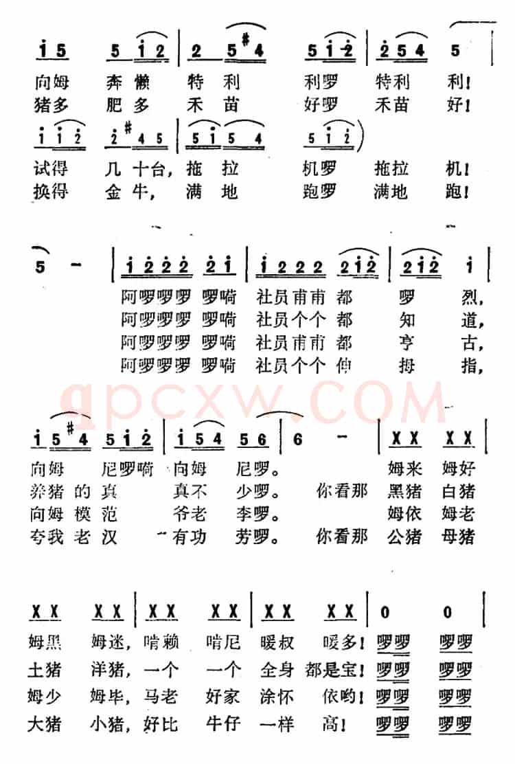 养猪好  