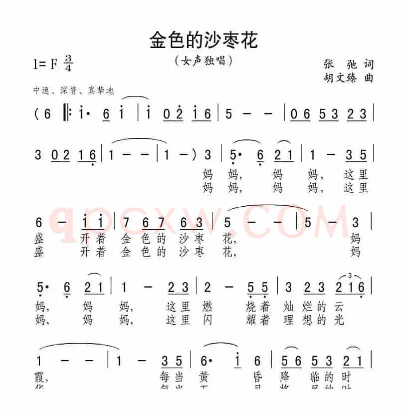 金色的沙枣花