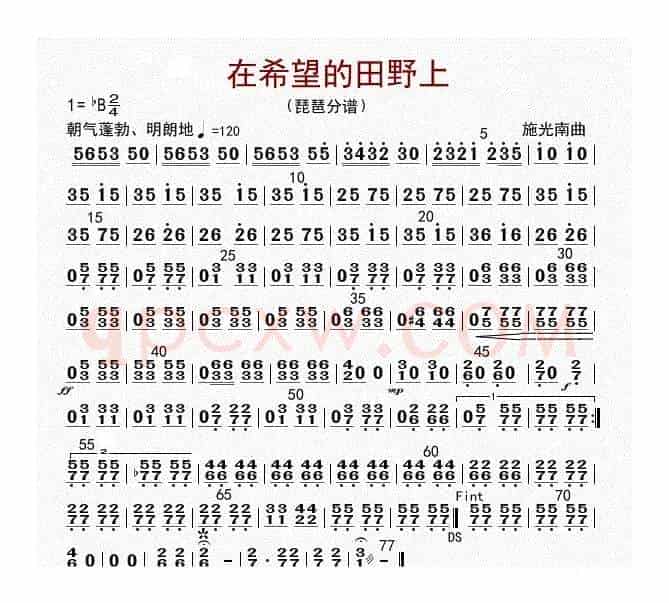 在希望的田野上（琵琶分谱）