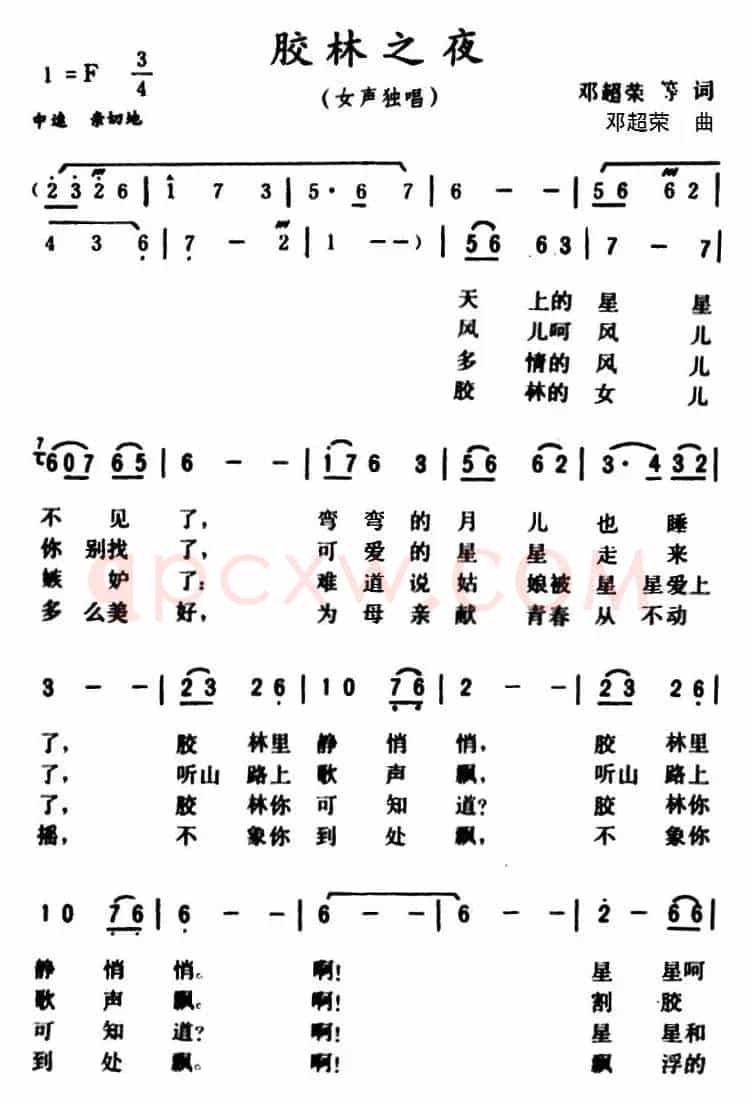 胶林之夜 