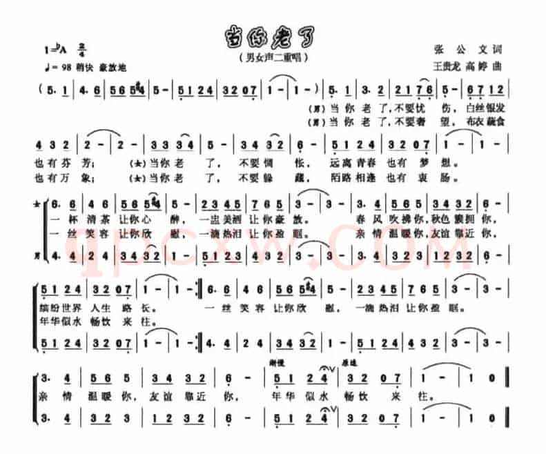 当你老了（张公文词 王贵龙 高婷曲）