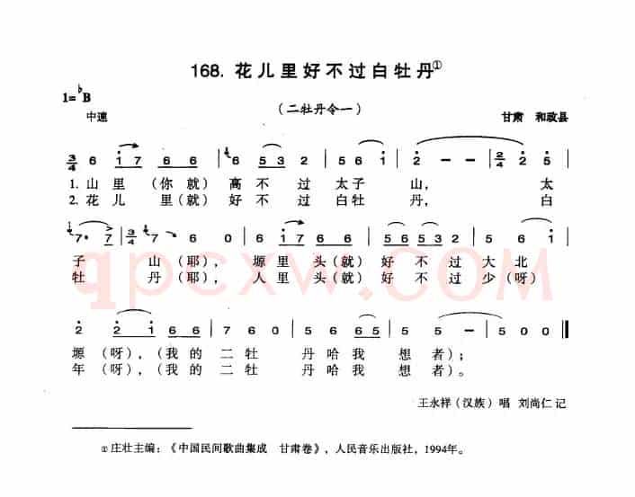花儿里好不过白牡丹