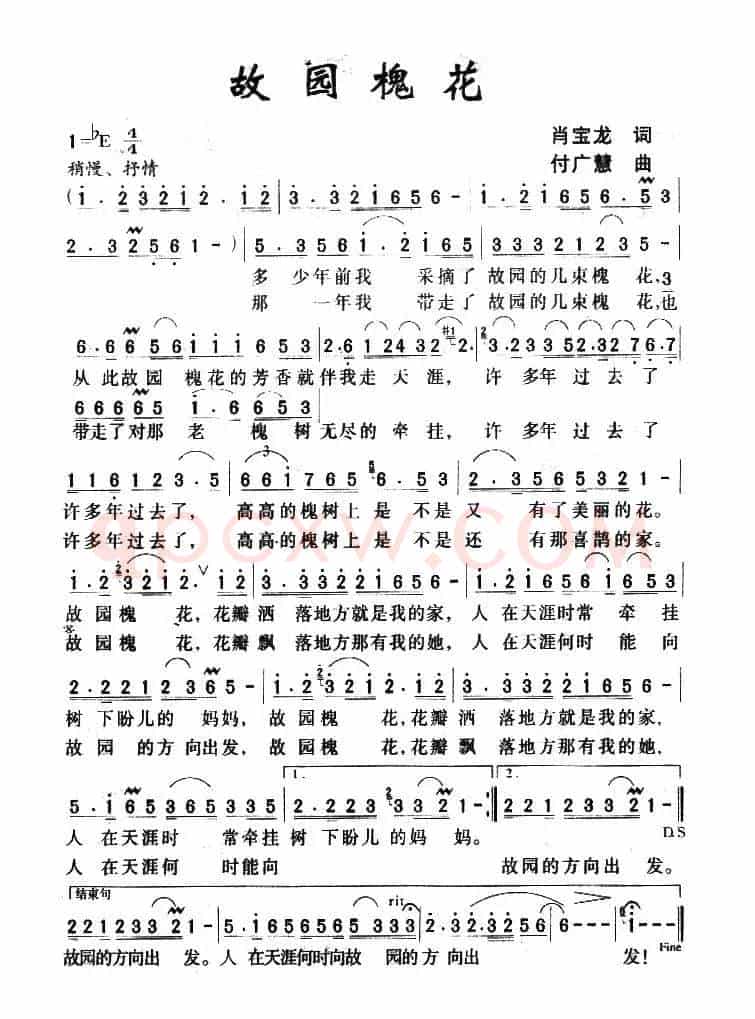 故园槐花