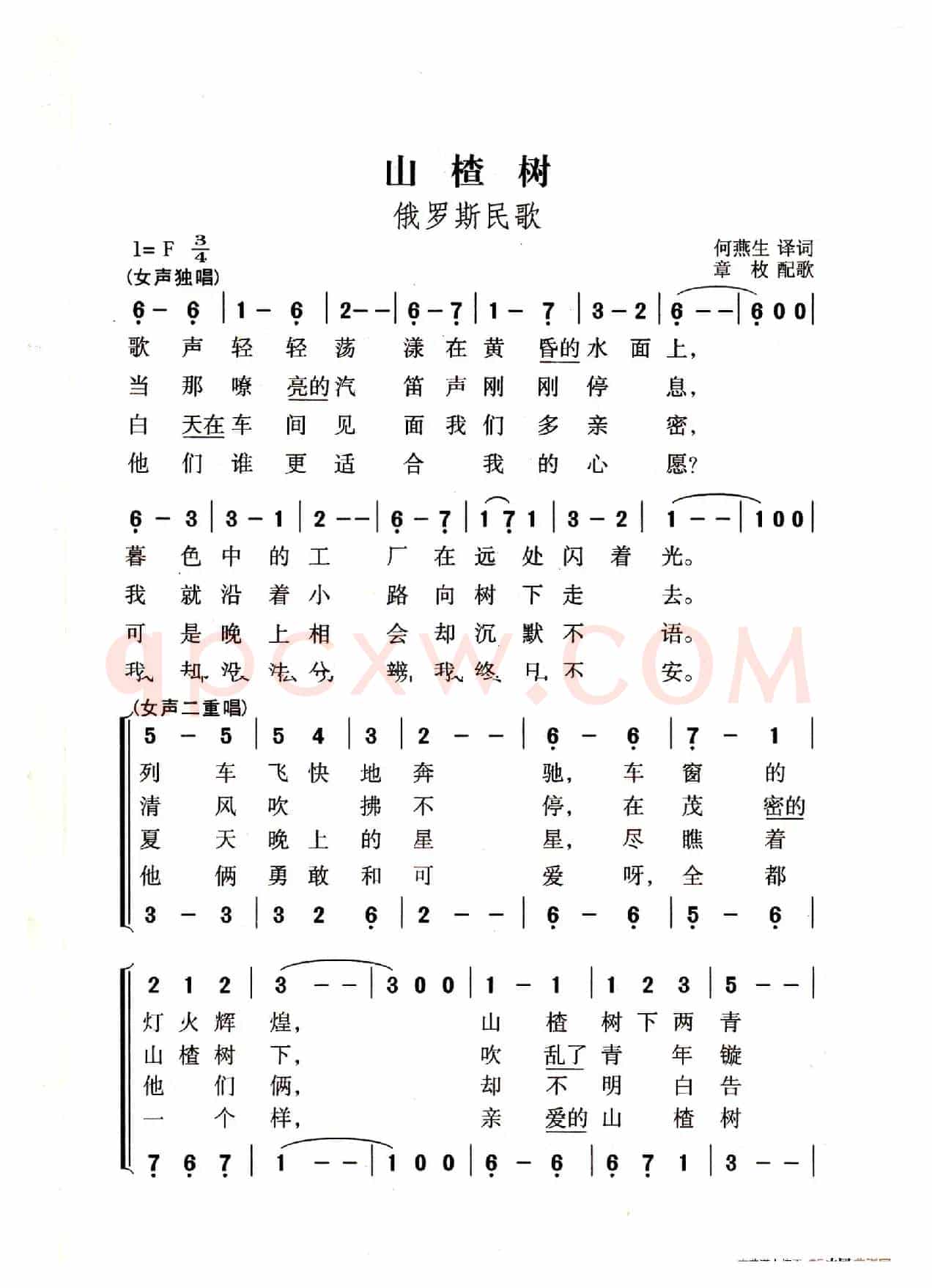 山楂树（老人适用）