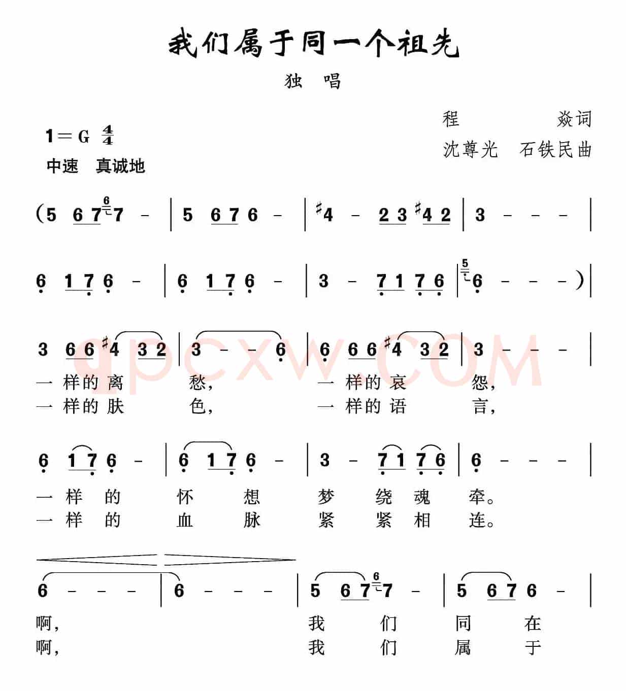 我们属于同一个祖先