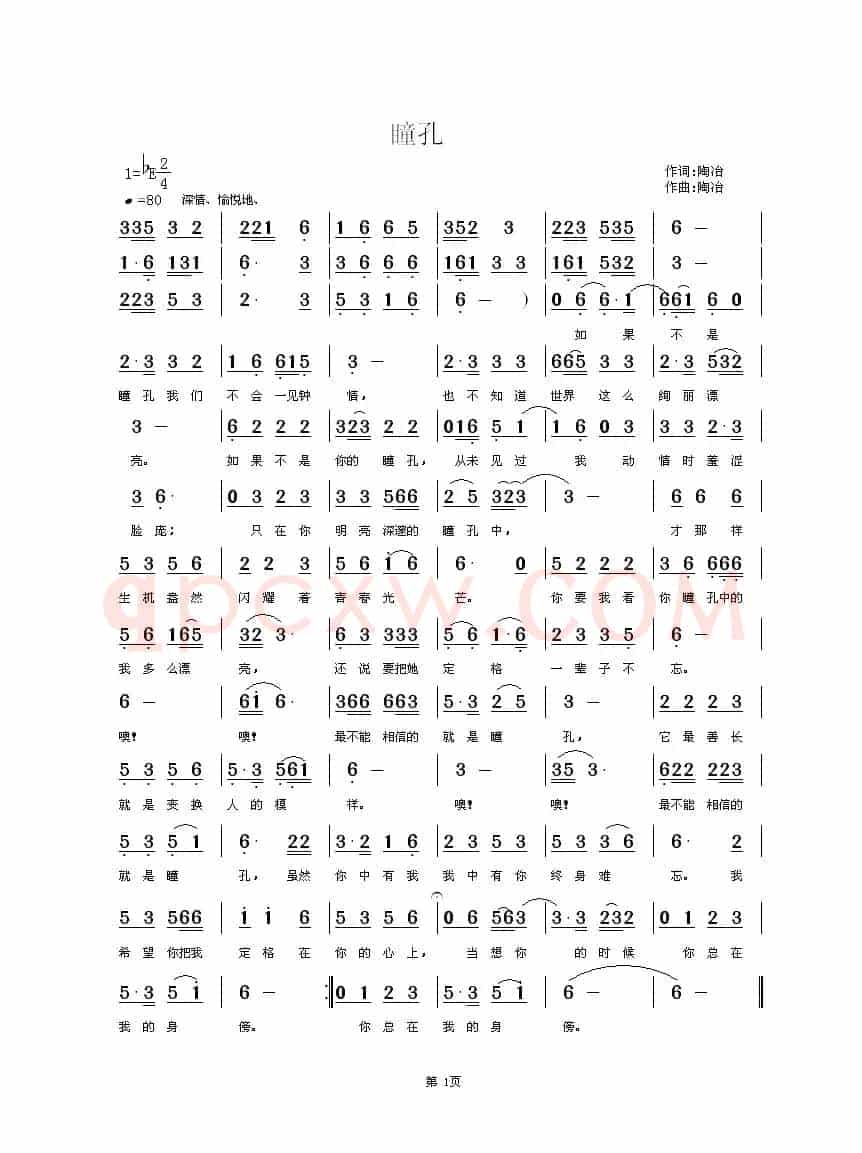 瞳孔