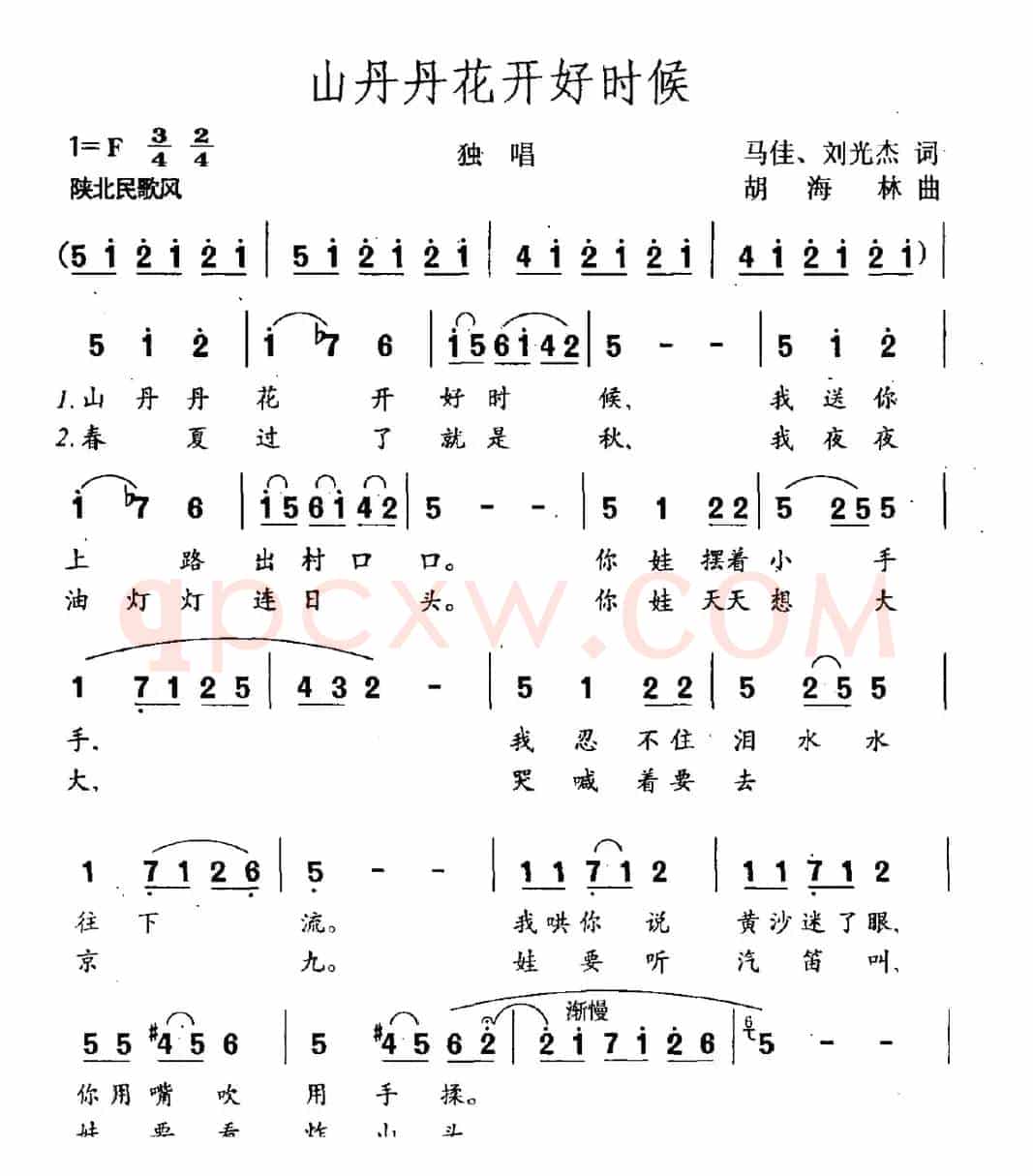 山丹丹花开好时候