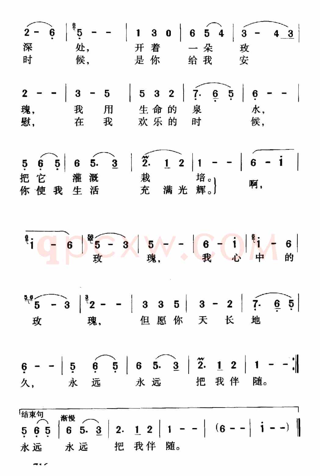 心中的玫瑰(电影《泪痕》插曲)