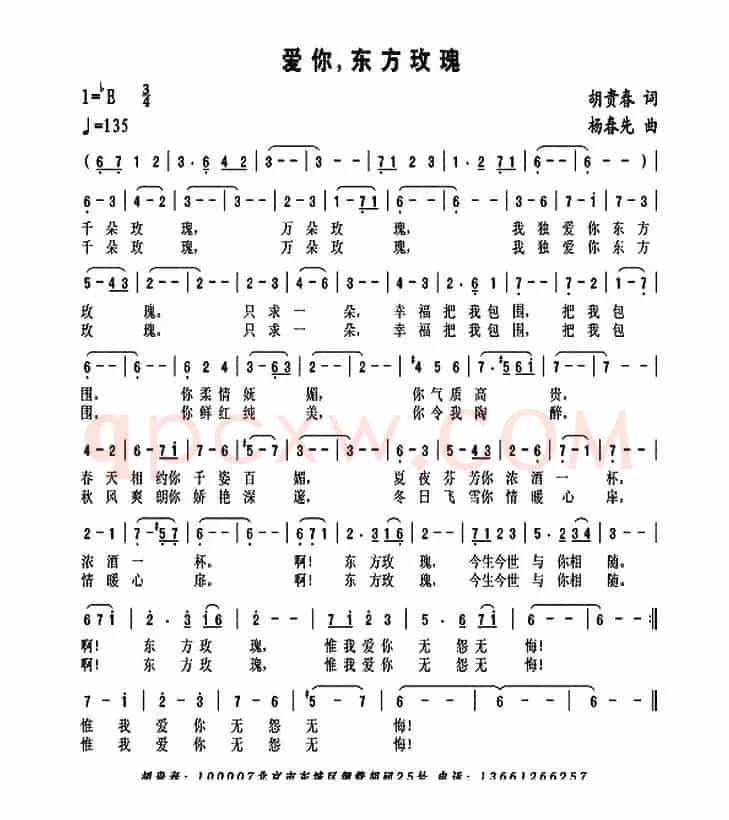 爱你,东方玫瑰