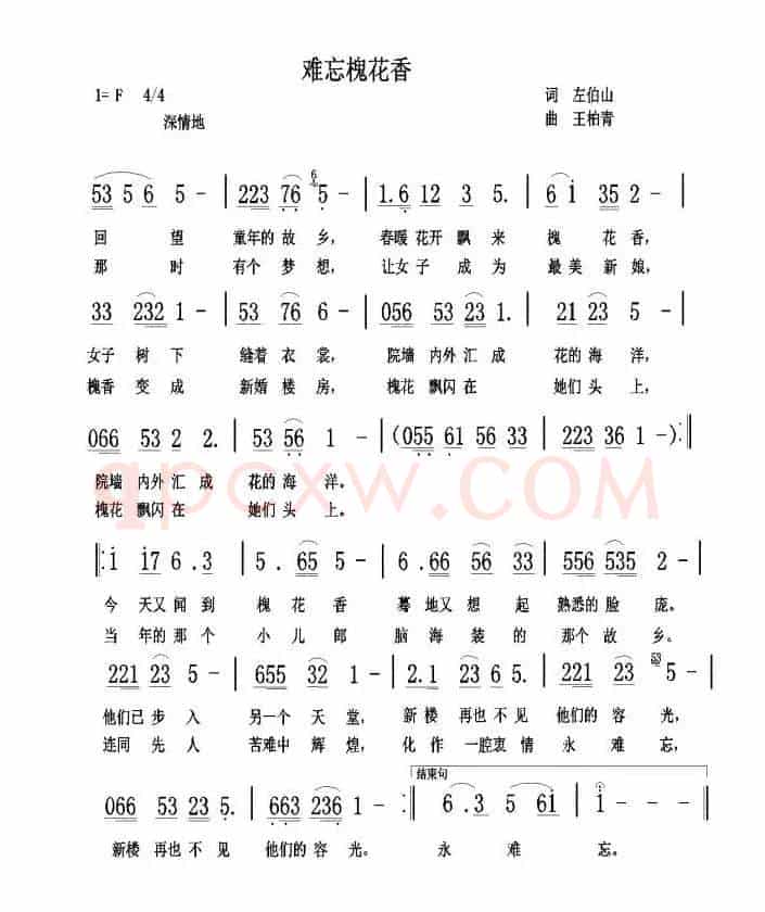 难忘槐花香
