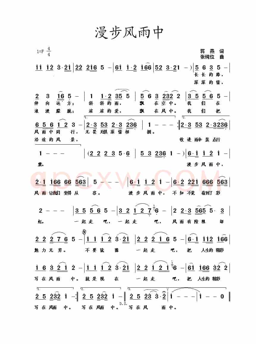 漫步风雨中