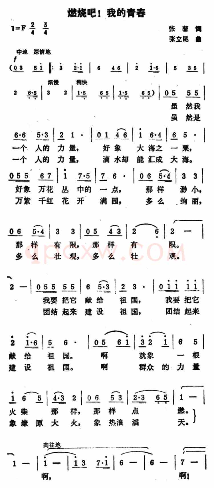 燃烧吧！我的青春