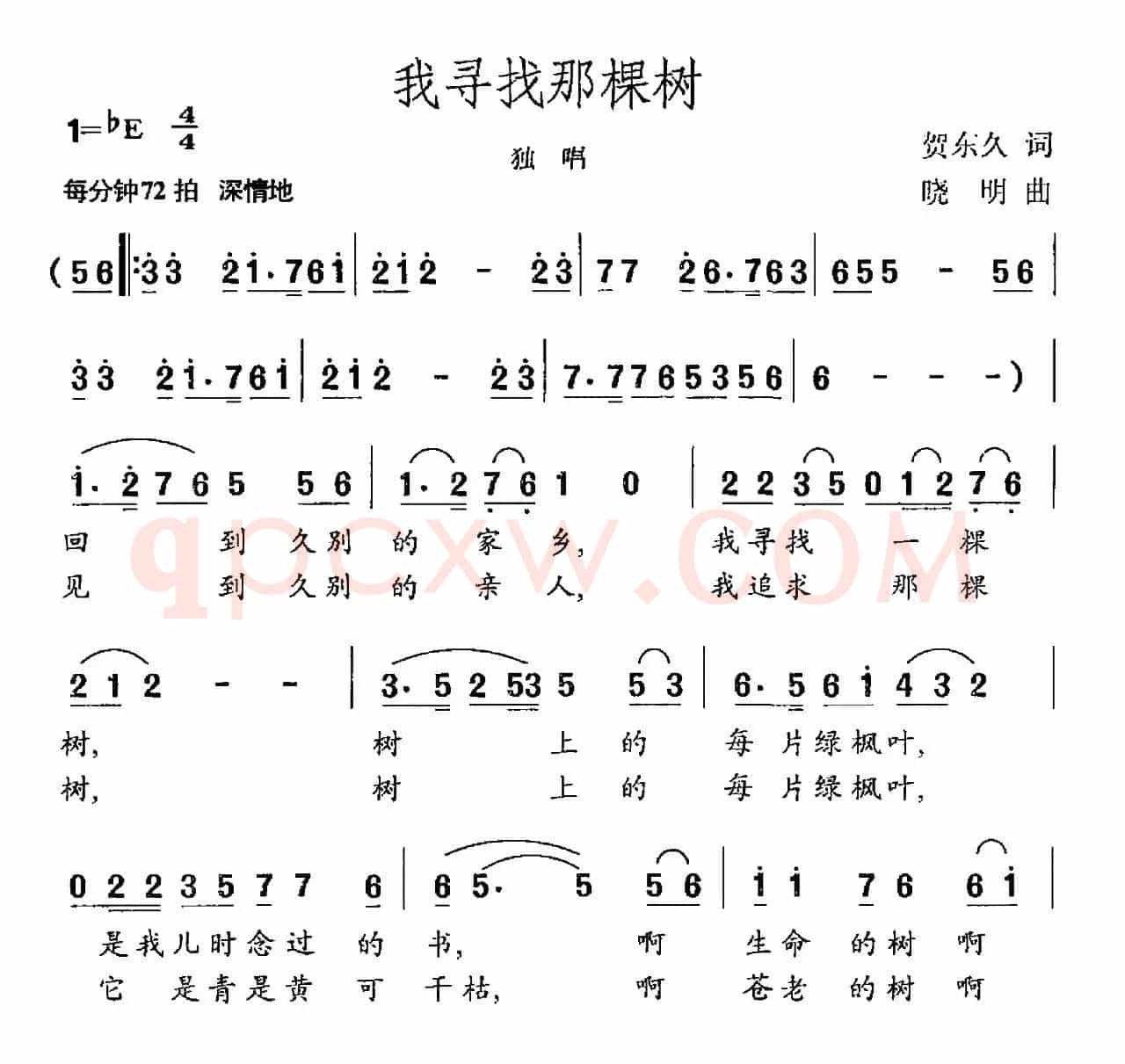 我寻找那棵树