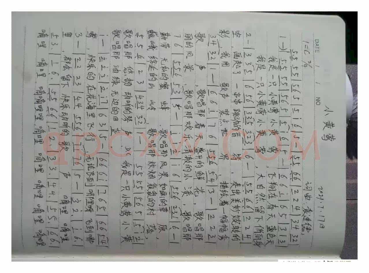 小黄莺