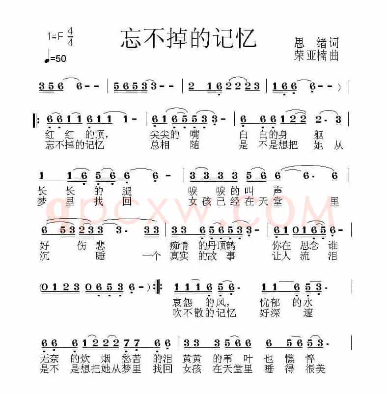 忘不掉的记忆