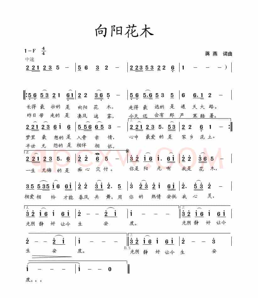 向阳花木