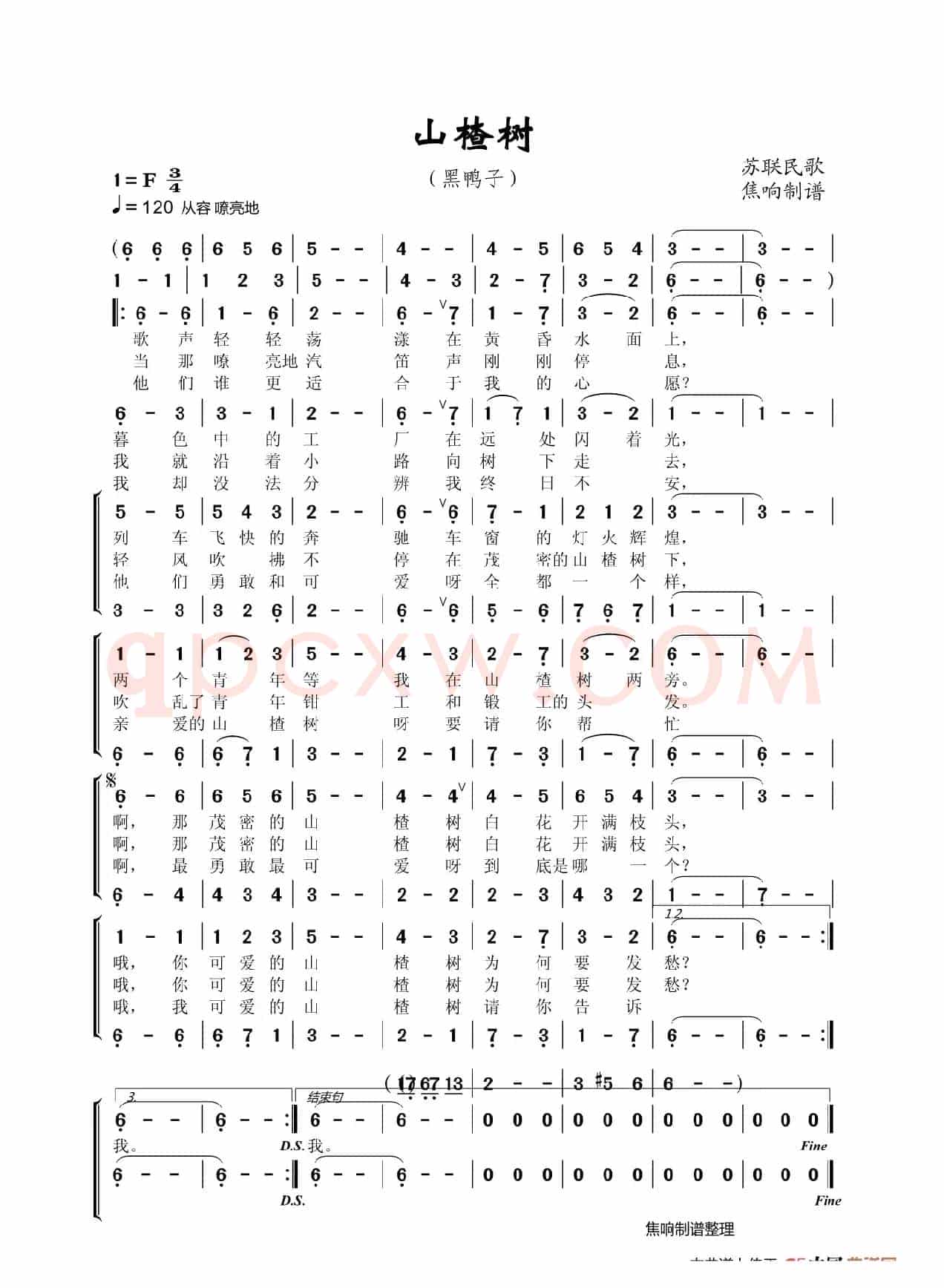 山楂树（黑鸭子）