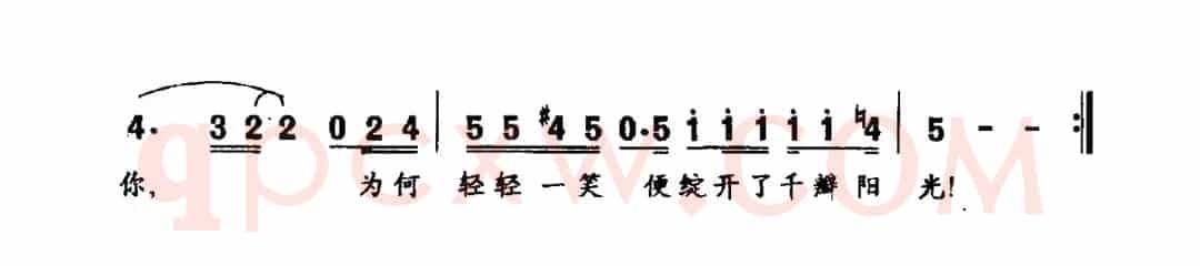 古莲花开
