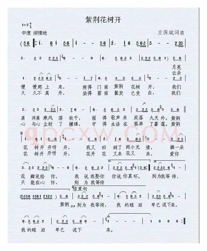 紫荆花树开