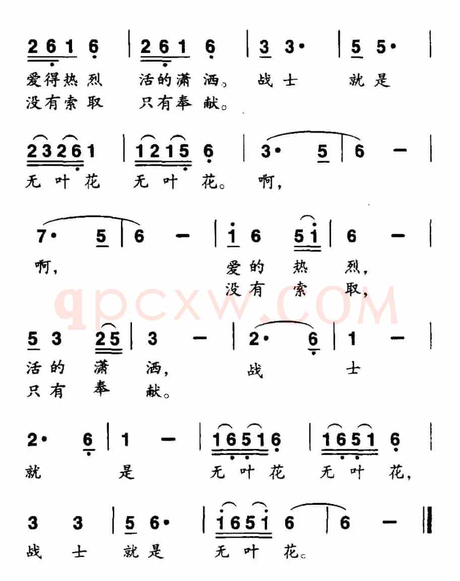 无叶花