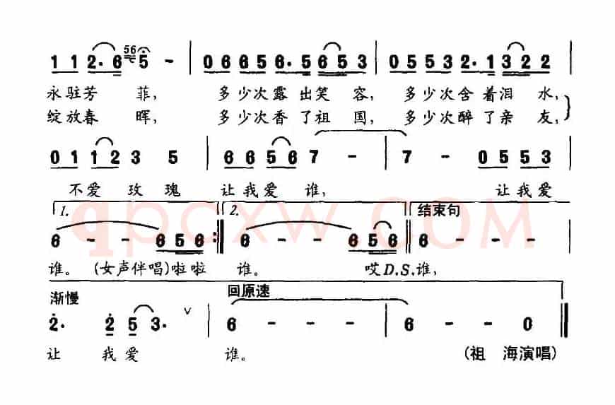 中华玫瑰