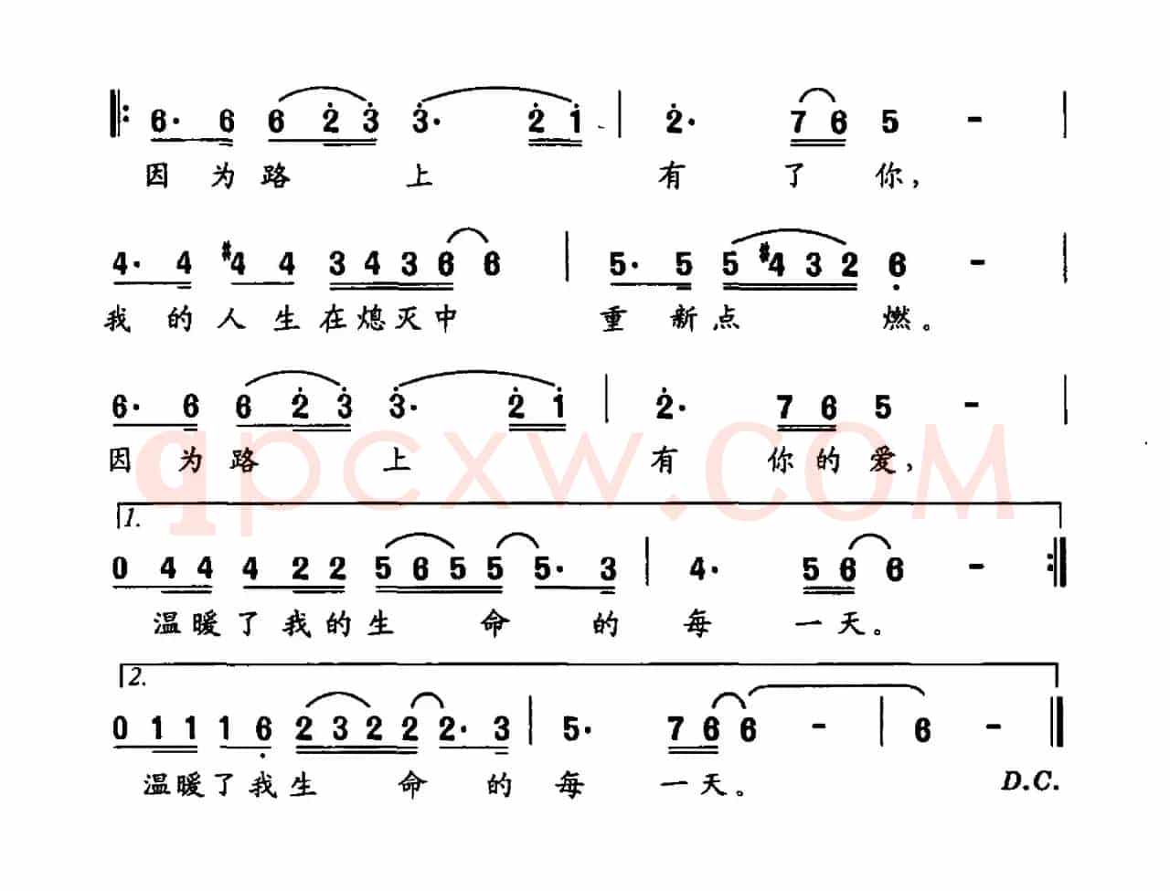 因为路上有了你