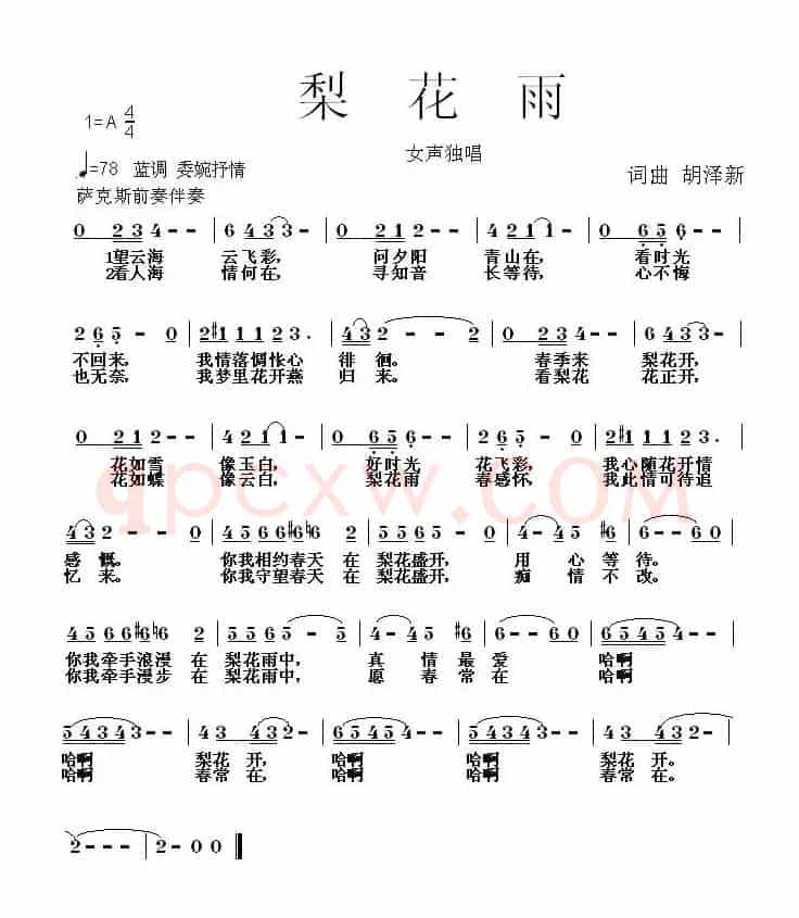梨花雨（胡泽新 词曲）