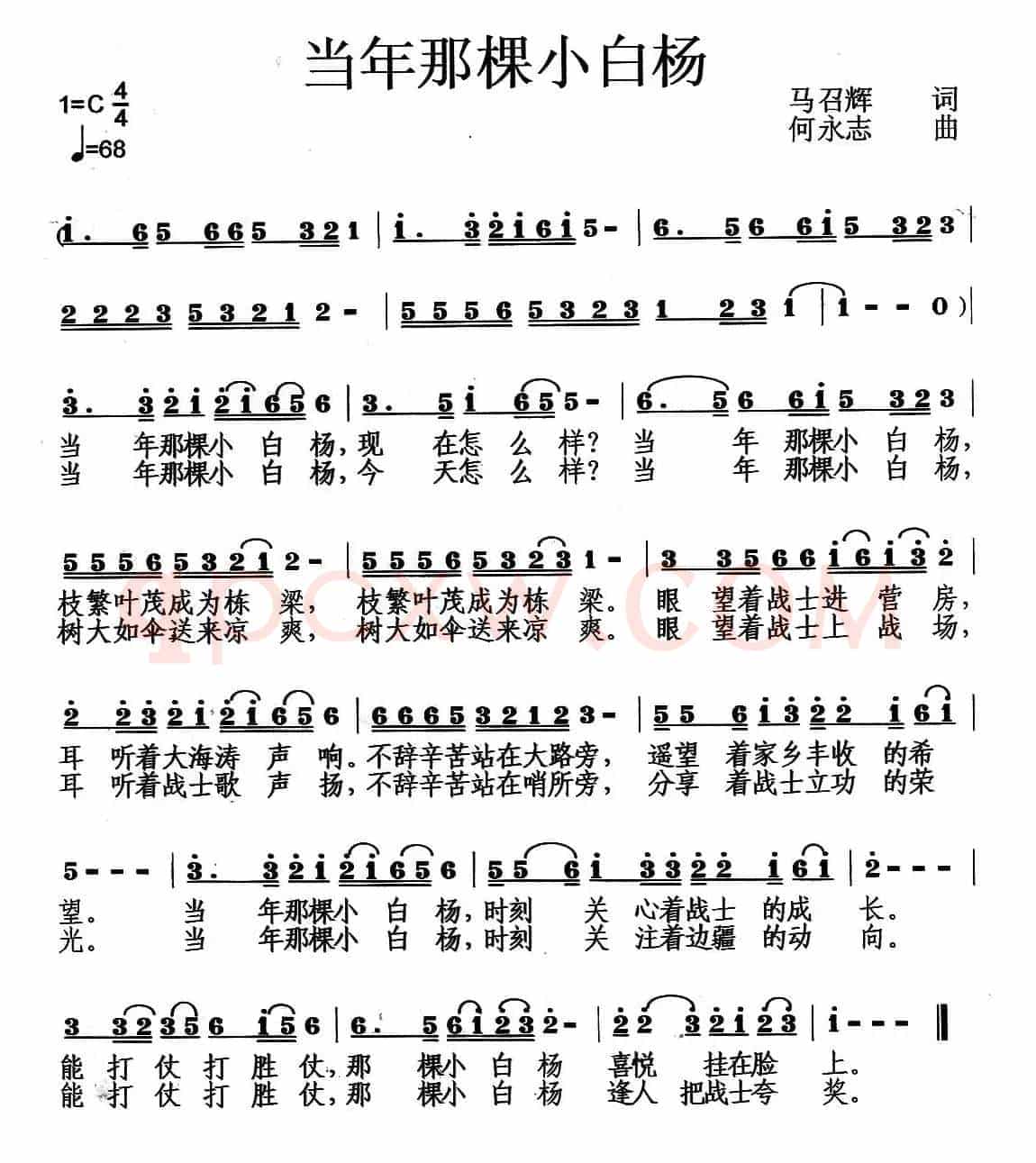 当年那颗小白杨