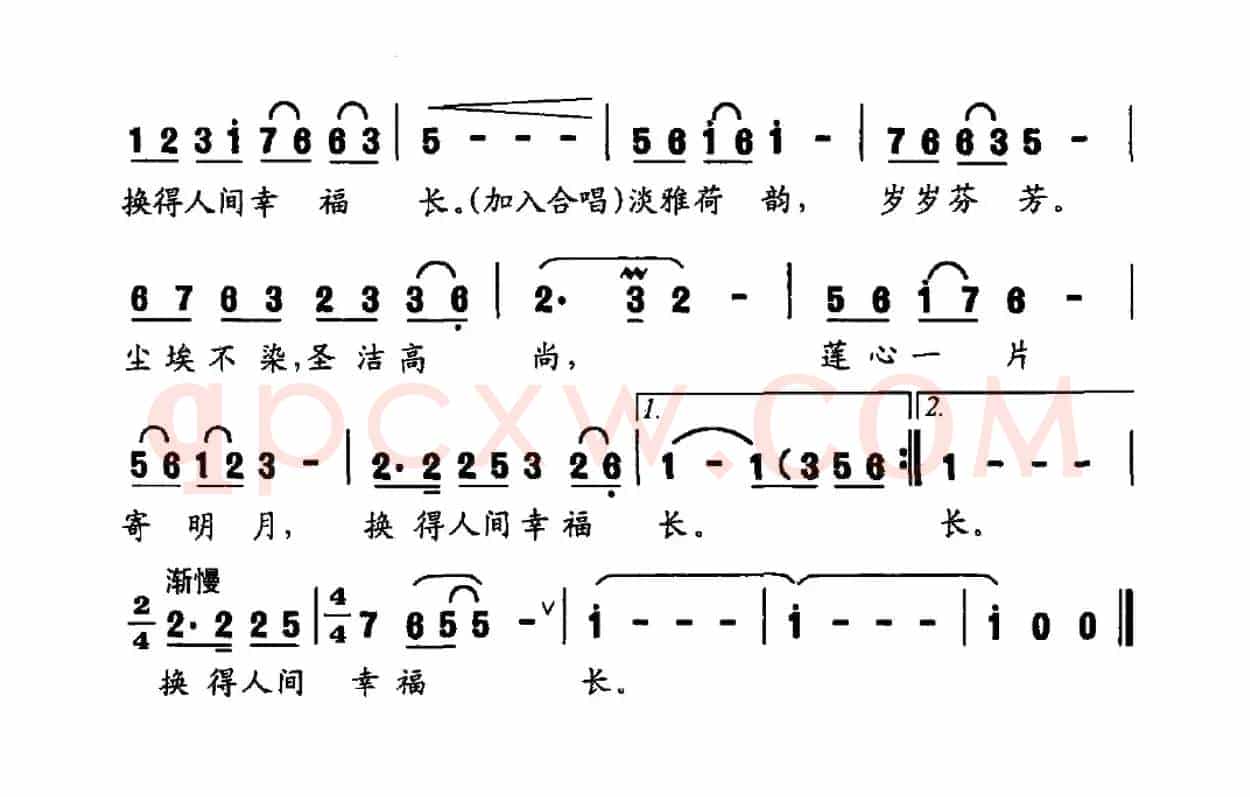 荷叶青青荷花香（沈小冰词 曹家为曲）