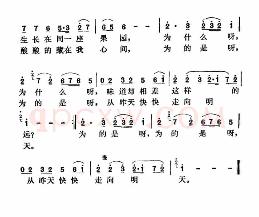 荔枝和柠檬