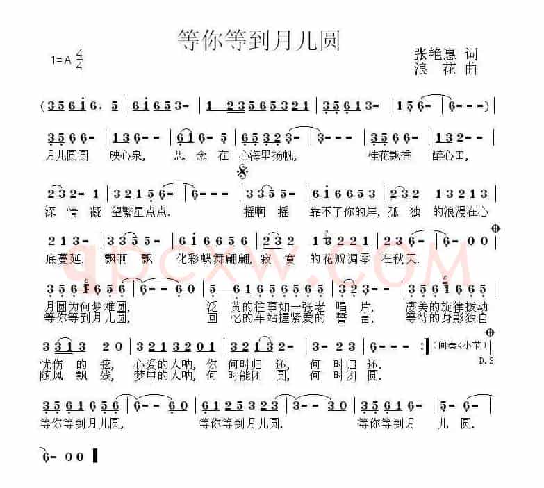 等你等到月儿圆