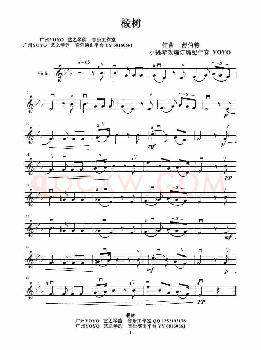 椴树（小提琴谱）