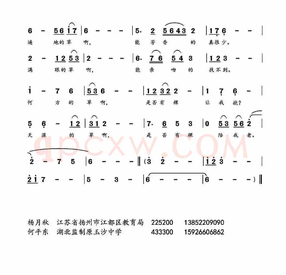 芳草，天涯何处
